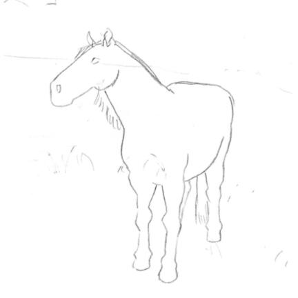 Horse Horse